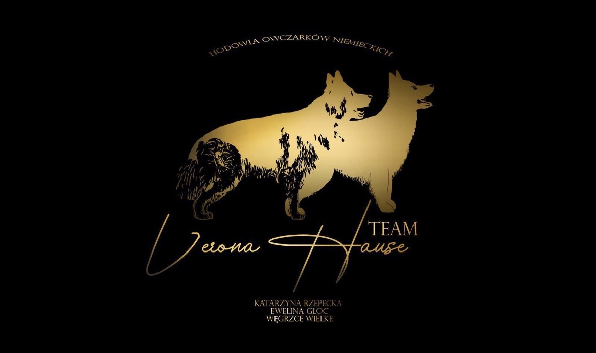Team Verona House Logo